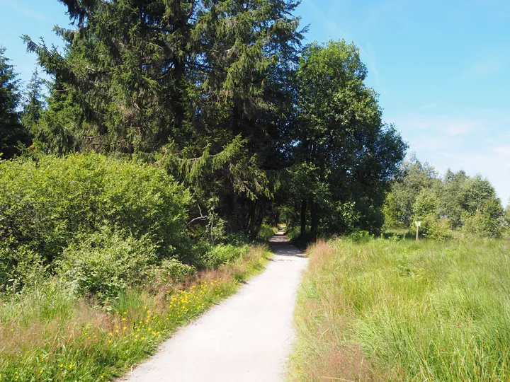 Signal de Botrange (Belgium)